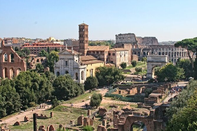 Guided Tour of the Colosseum With Access to the Arena, Roman Forum and Palatine Hill - Colosseum Access and Exploration