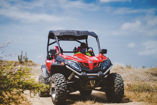 Half-Day Aruba UTV Adventure Tour - Swimming at Arashi Beach