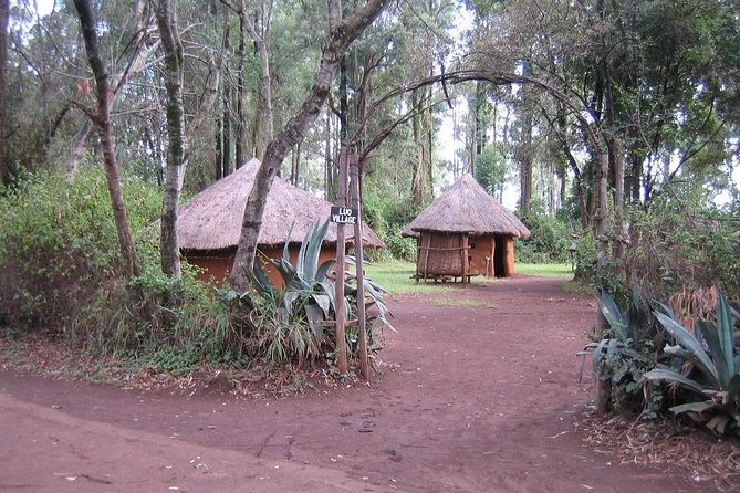 Half-Day Cultural Tour to Bomas of Kenya in Nairobi - Traditional Performances