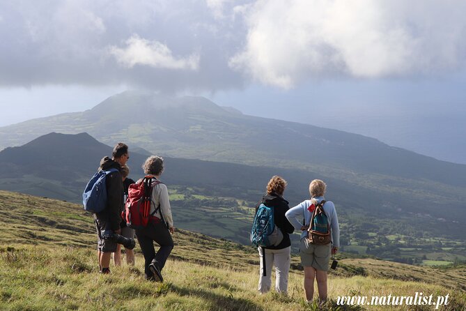 Half Day Faial Island Tour -Local Biologist - Tour Logistics and Details