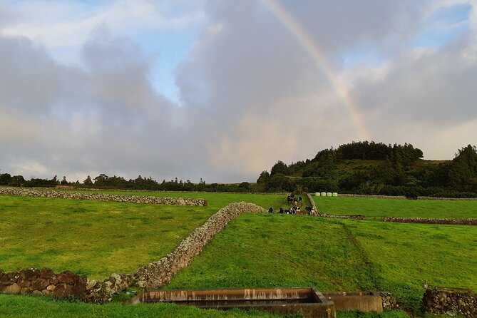 Half-Day Farm Visit and Cow Milking Experience - Pricing and Guarantees