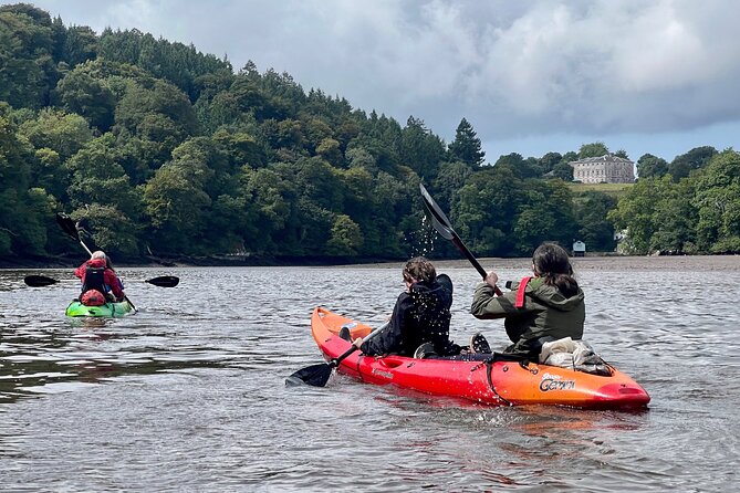 Half Day Guided Canoe Trip in Totnes - Booking Information