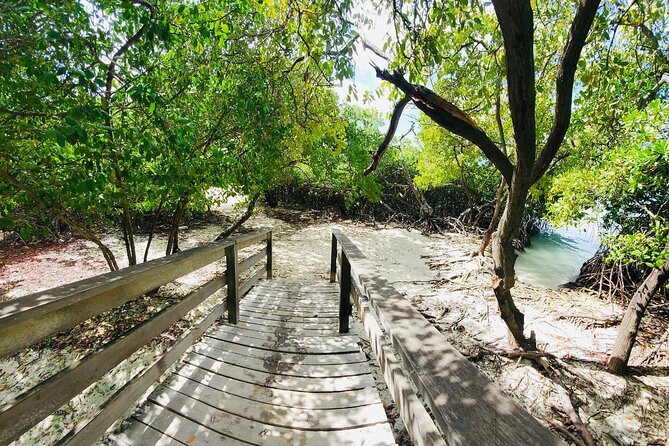 Half-Day Jeep Tour in Aruba - Guided Storytelling