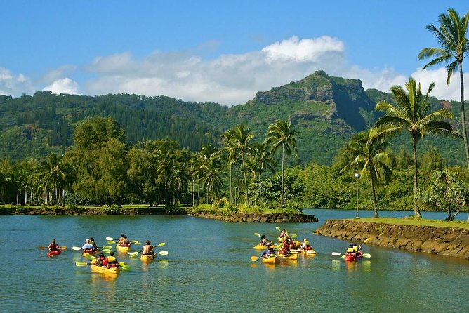 Half-Day Kayak and Waterfall Hike Tour in Kauai With Lunch - Cancellation Policy