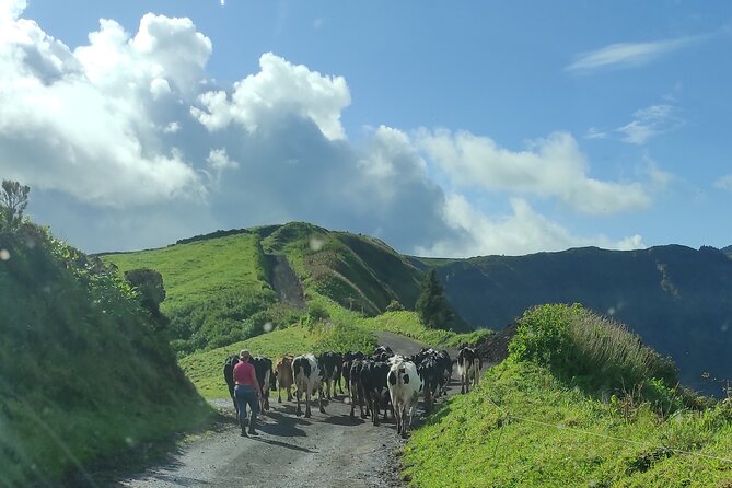 Half Day Off Road Tour in Azores - Local Guide