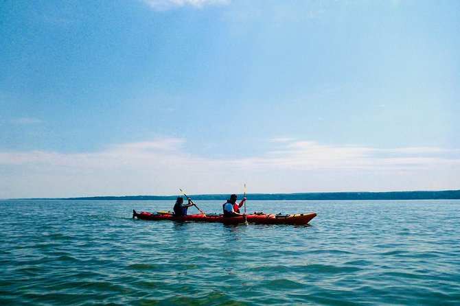 Half-Day Orleans Island Small-Group Sea Kayaking Tour - Kayaking Gear and Equipment