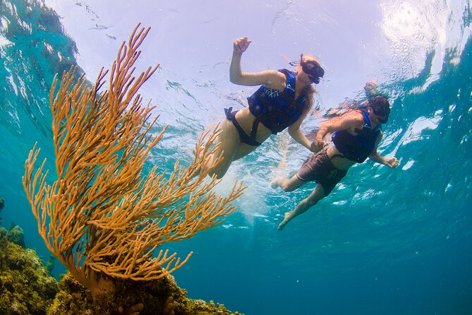 Half Day Party Boat and Snorkeling in Punta Cana - Enjoy the Party Boat and Snorkeling