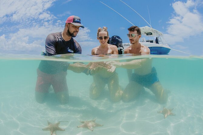 Half-Day Private Stingray City Charter - Grand Cayman - BTC - Booking and Confirmation Process