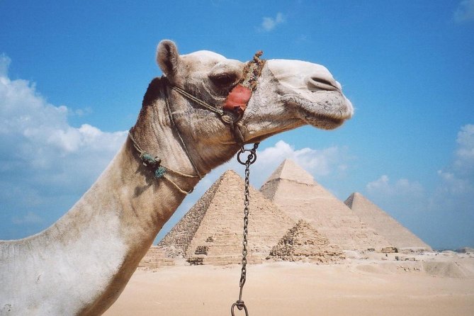 Half-Day Private Tour to Pyramids of Giza and Sphinx - Visiting the Sphinx