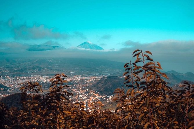 Half Day Tour Discovering Anaga Tenerife - Tour Experience Highlights