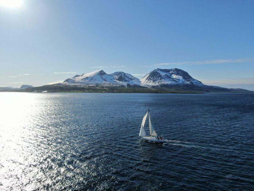 Harstad: Fjord Cruise Sailing With Skipper - Wildlife Spotting Opportunities