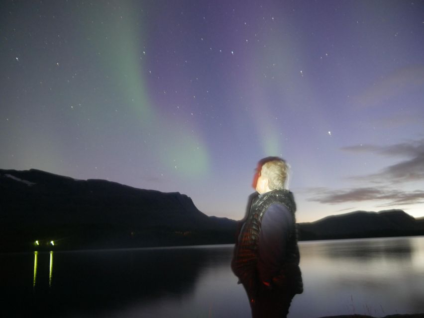 Harstad/Narvik/Tjeldsund: Northern Lights Sightseeing by Car - Capturing Stunning Photographs