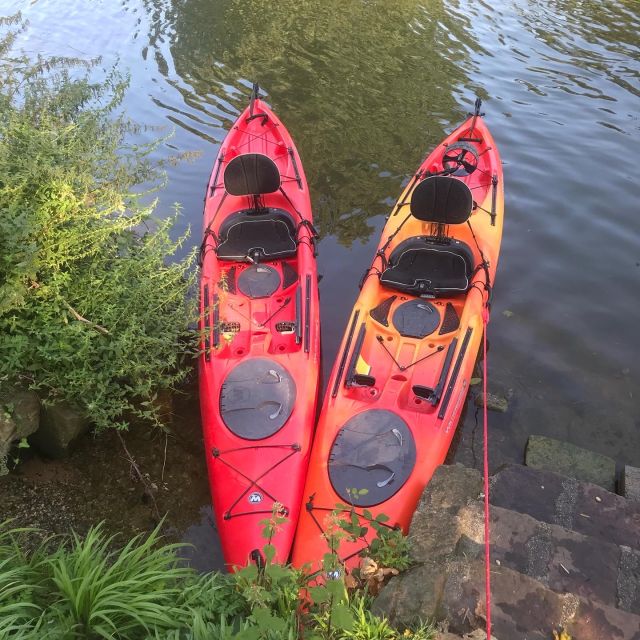 Heidelberg: 2-Hour Kayak Tour - Tour Highlights and Experience