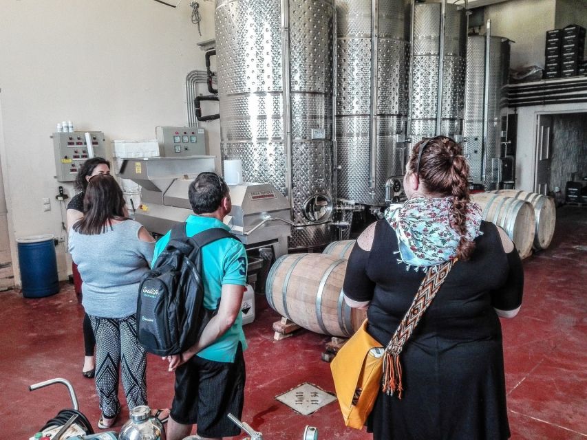 Heraklion: Cretan Wine Tasting Tour & Gourmet Lunch - Olive Oil and Local Produce