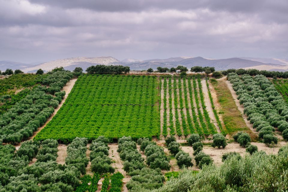 Heraklion: Private SUV Wine Tour With Lunch - Participant Information