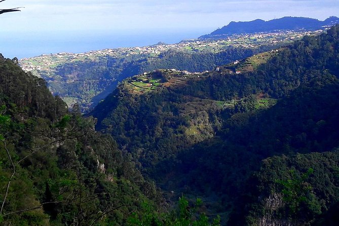 Hidden Corners: Levada Walk From Funchal - Health and Safety Considerations