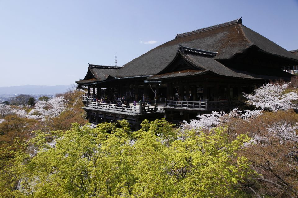 Higashiyama | Kyoto: Sakura Season Private Rickshaw Tour - Customer Feedback