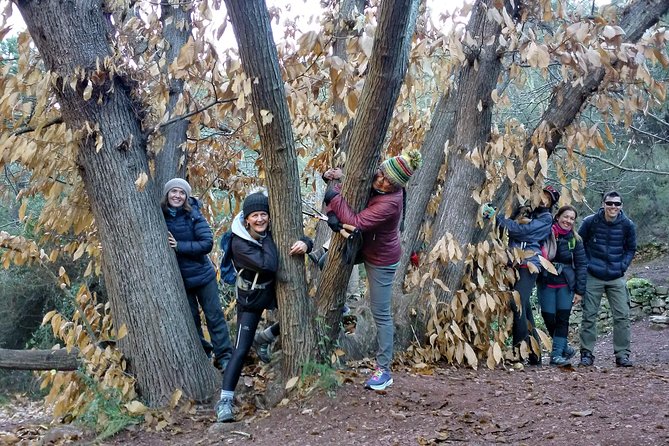 Hike the Cork Oak Trail and Try Some Delicious Cheese - Directions to Plaça Dels Furs