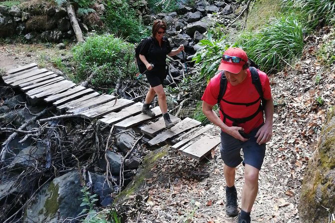 Hiking and Trekking Tours in Madeira - Snacks and Lunch Included