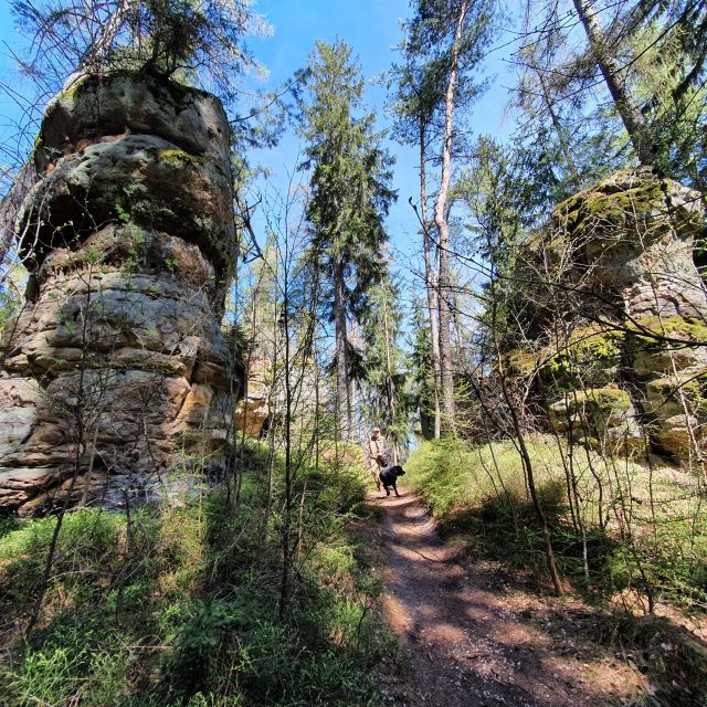 Hiking in the Table Mountais for Seniors - Tour Duration