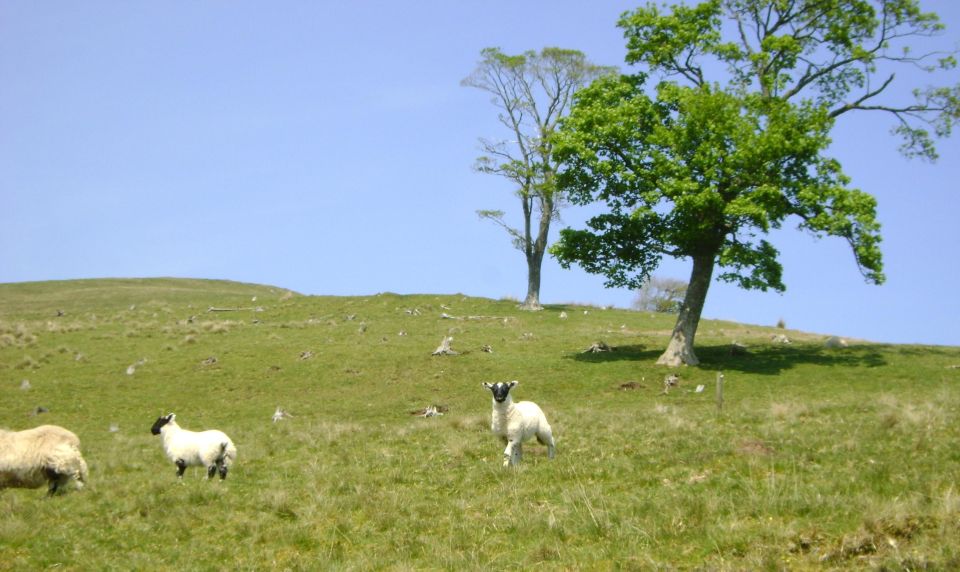 Hill & Nature Hike - Discover Real Edinburgh With a Local - Additional Information