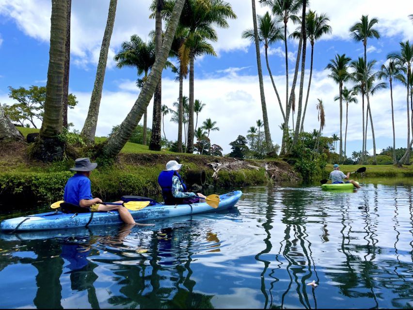 Hilo: Wailoa River to King Kamehameha Guided Kayaking Tour - Frequently Asked Questions