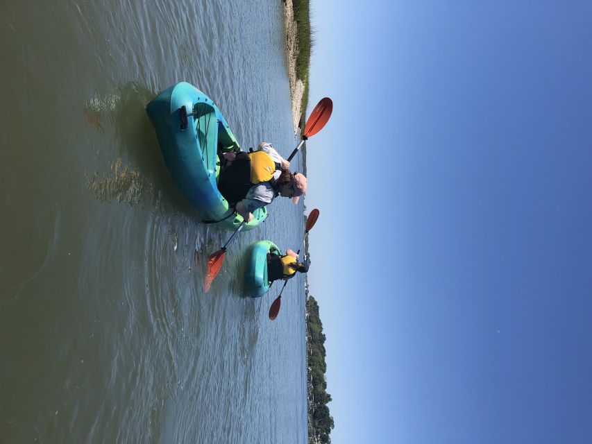 Hilton Head Island: 1.5-Hour Guided Small-Group Kayak Tour - Spotting Local Wildlife