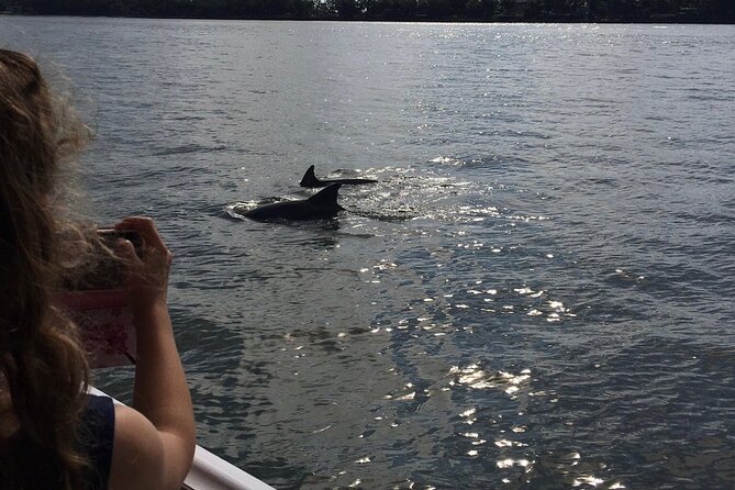 Hilton Head Island Dolphin Boat Cruise - Meeting Point and Duration