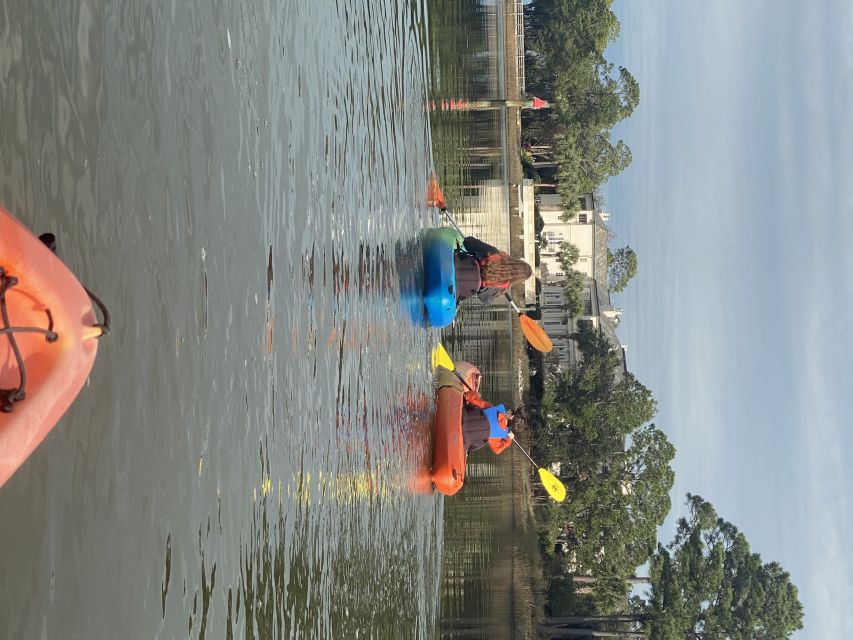 Hilton Head Island: Guided Kayak Tour With Coffee - Ecosystem and Wildlife