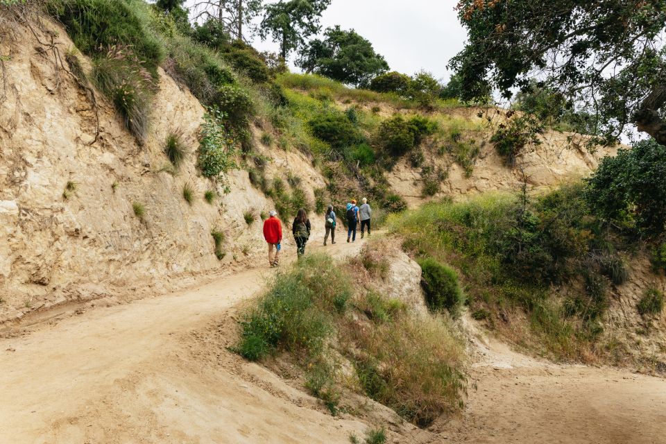 Hollywood Sign Hiking Tour to Griffith Observatory - Hiking Difficulty and Recommendations