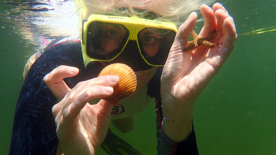 Homosassa: Snorkel & Scallop Hunt in Gulf of Mexico - Important Details