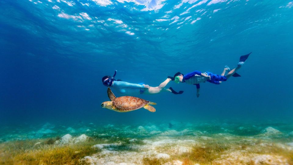 Honolulu: Hanauma Bay State Park Snorkeling Trip - Snorkeling Experience