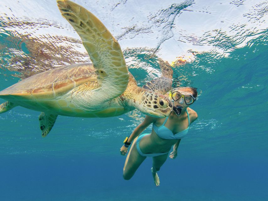 Honolulu: Snorkel With Turtles, Water Scooter, Paddleboard - Customer Feedback and Highlights