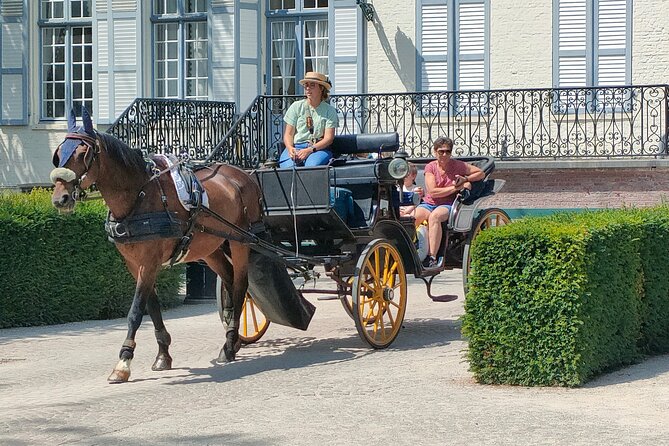 Horse-Drawn Carriage Ride and Guided Walk - Positive Traveler Feedback