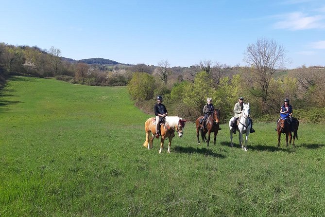 Horse Ride, Olive Oil and Local Foods Tasting in a Tuscan Farm - Private Horseback Ride