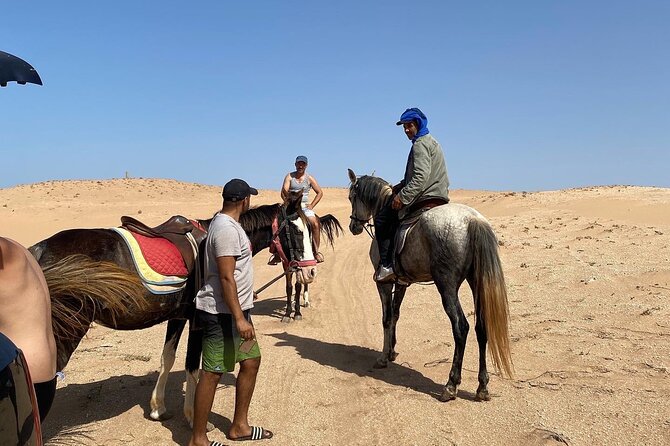 Horse Riding Agadir - Included Transportation and Pickup