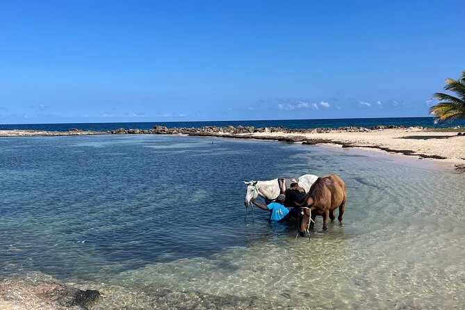 Horseback Ride and Swim Private Tour From Montego Bay - Horseback Riding Experience