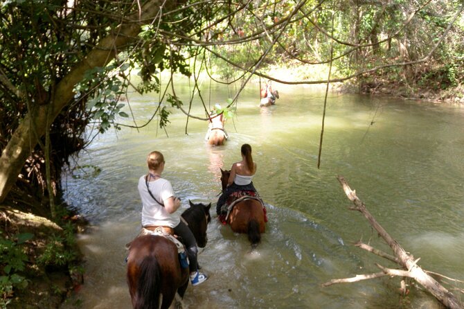 Horseback Riding Across Indigenous Trails Puerto Plata - Reviews and Feedback