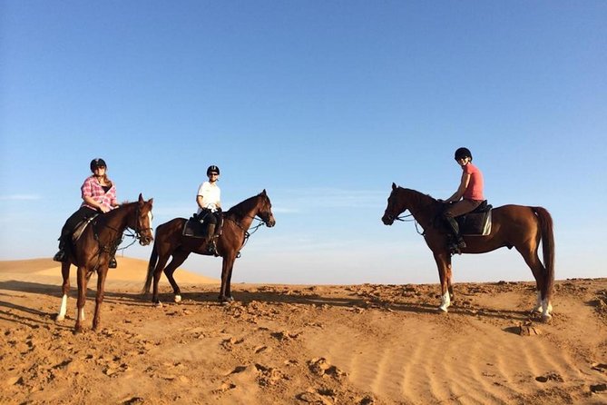 Horseback Riding in Dubai Desert With Transfers - Horse Matching and Ability