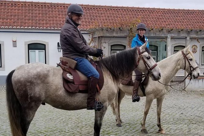 Horseback Riding In Lisbon - Arrábida - Louro Trail Mountain 5 - 6 Hours - Requirements and Restrictions