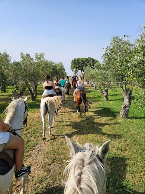 Horseback Riding on the Beach - Inclusions and Exclusions