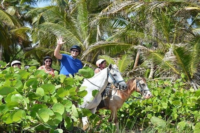 Horseback Riding to Maimon River From Punta Cana - Guest Reviews and Feedback