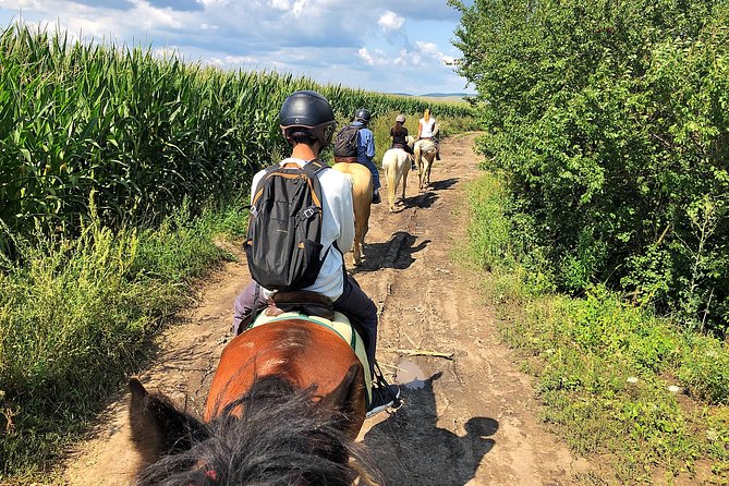 Horseback Riding Tour In Brasov - Ride Through Fields, Forests & Hills - Traveler Recommendations