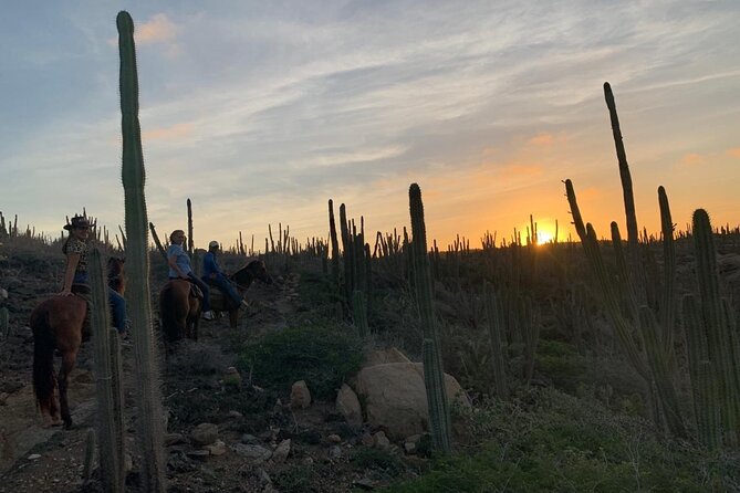 Horseback Riding Wariruri Beach Tour in Aruba - Guest Restrictions and Requirements