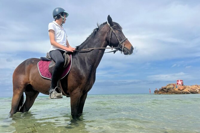 Horseback Riding With Private Transfer - Customer Experiences and Reviews