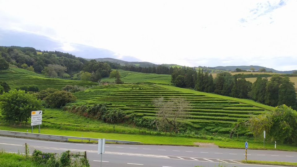 Hot Springs & Waterfalls & Tea Plantation - View Furnas Lake