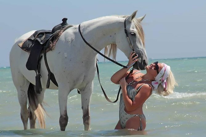 Hurghada: 2 Hours Camel and Horse Riding Adventure on The Sea. - Horses and Camels