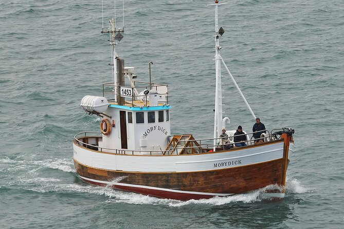 Husavik Family-Owned and Operated Whale Watching - Group Size and Capacity