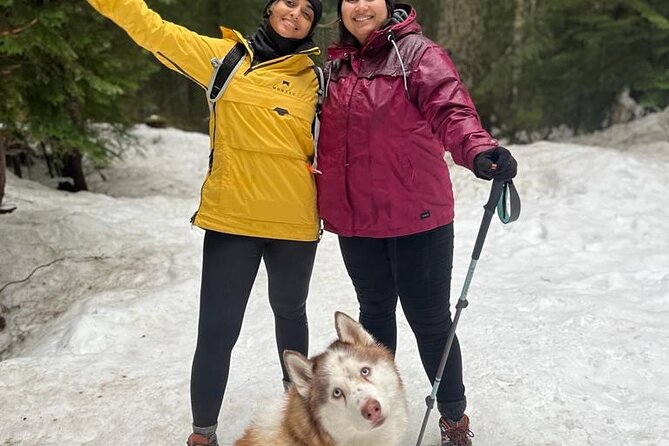 Husky Hikes Private Mountain Tours - Accessibility and Service Animals