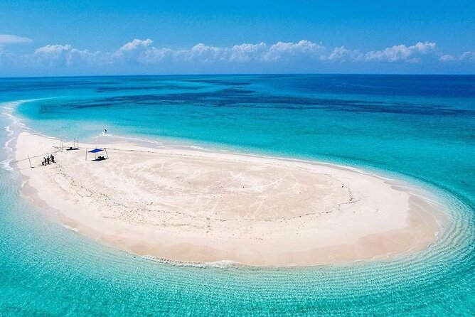 I Love Sandbank & Prison Island (Changuu Island) - Explore the Islands History